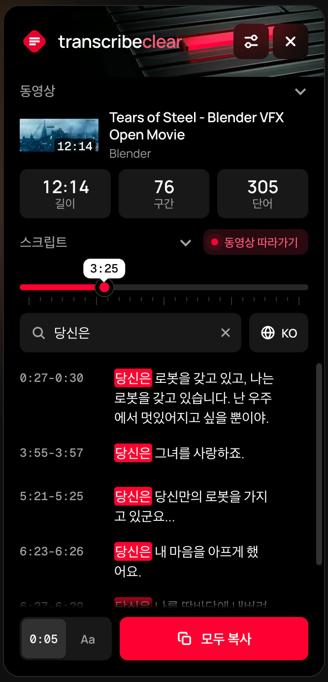 TranscribeClear 패널의 검색 결과