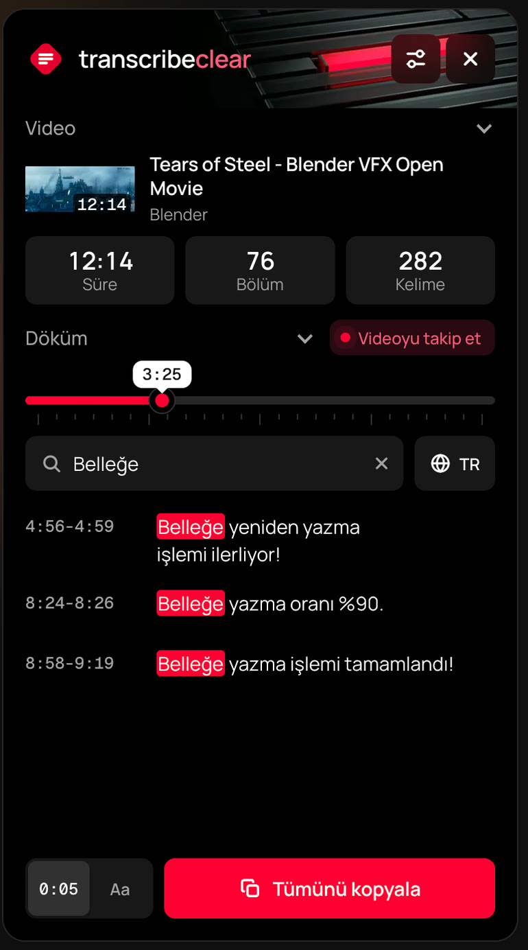 TranscribeClear panelindeki arama sonuçları
